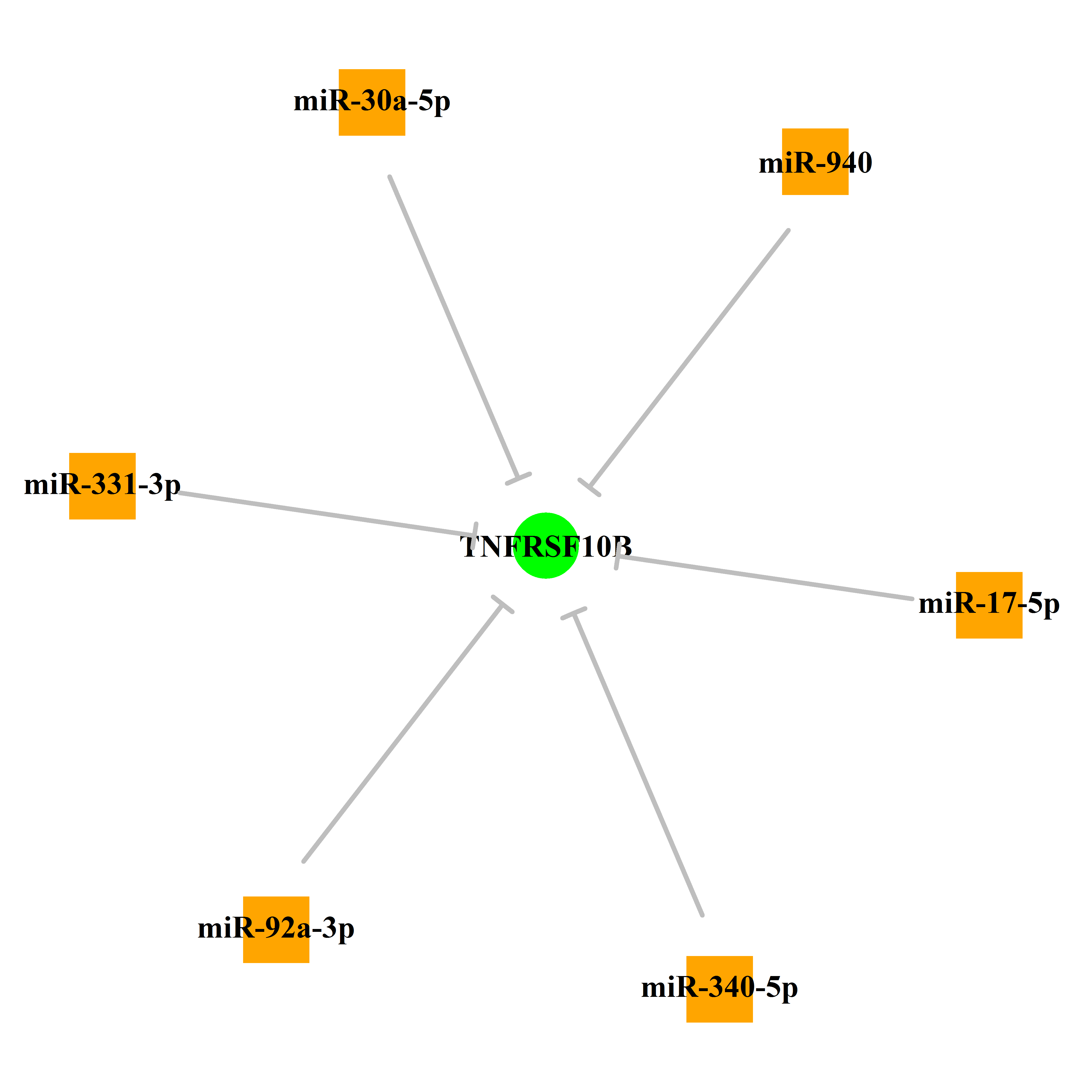 Experimentally validated miRNA-TS gene regulation information.