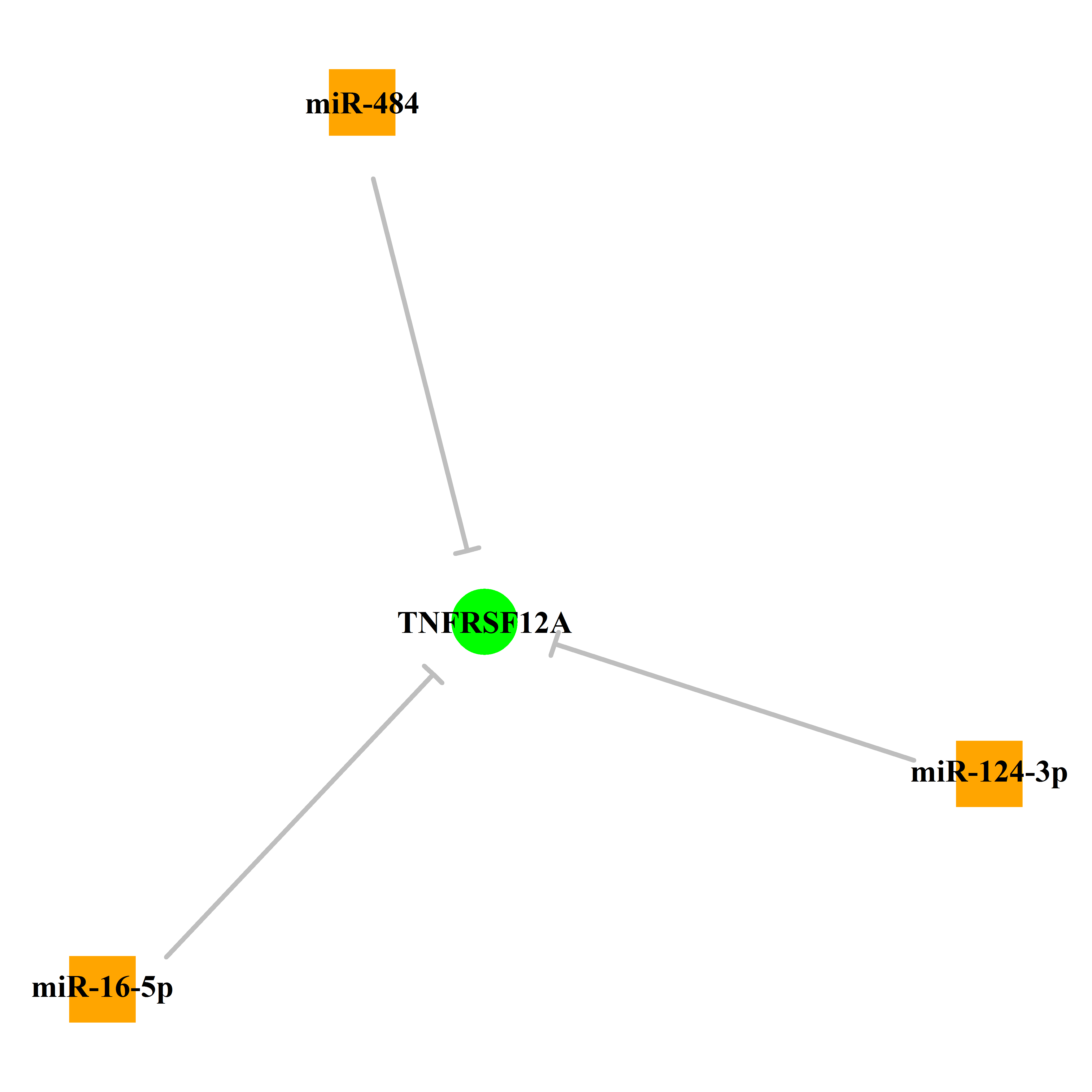 Experimentally validated miRNA-TS gene regulation information.