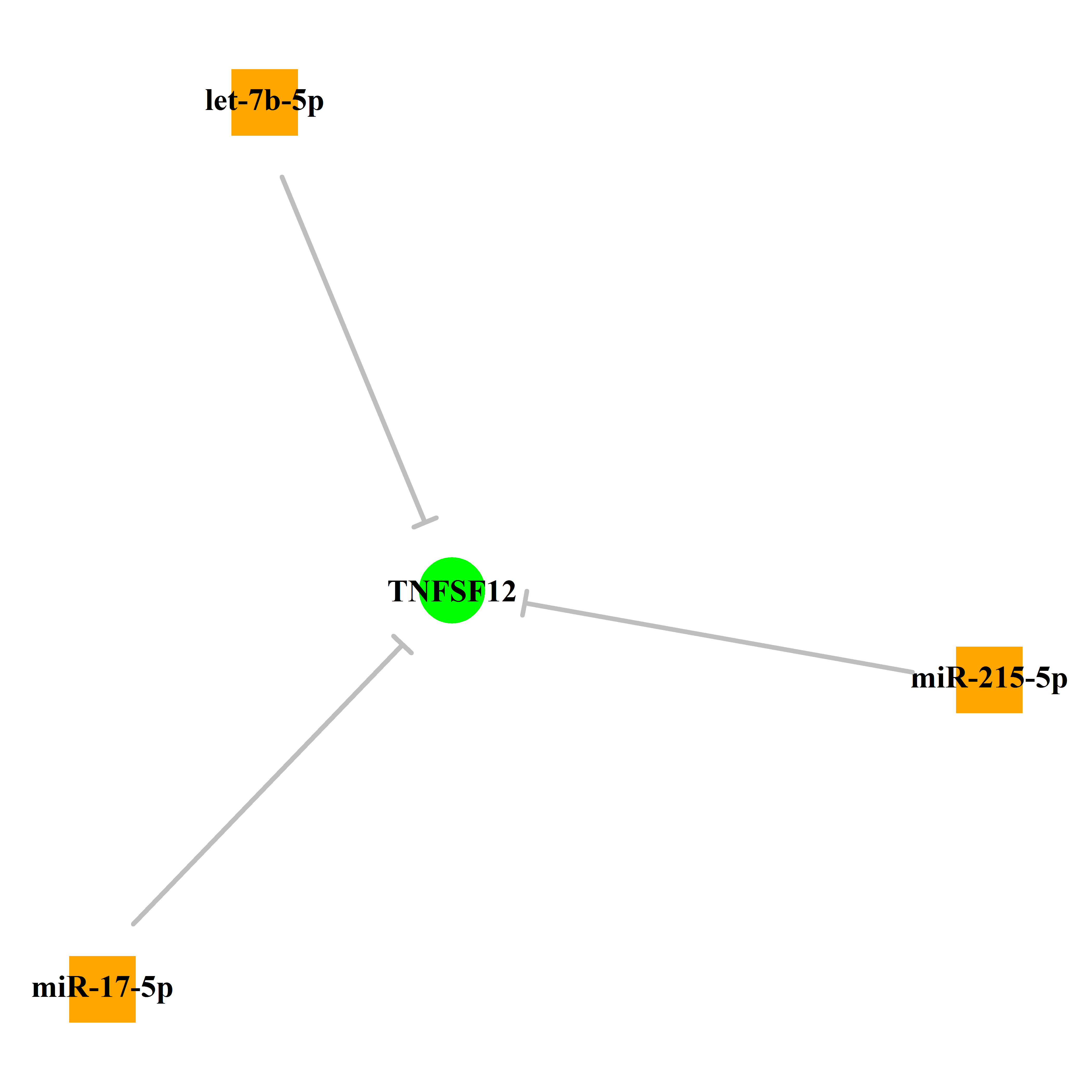 Experimentally validated miRNA-TS gene regulation information.