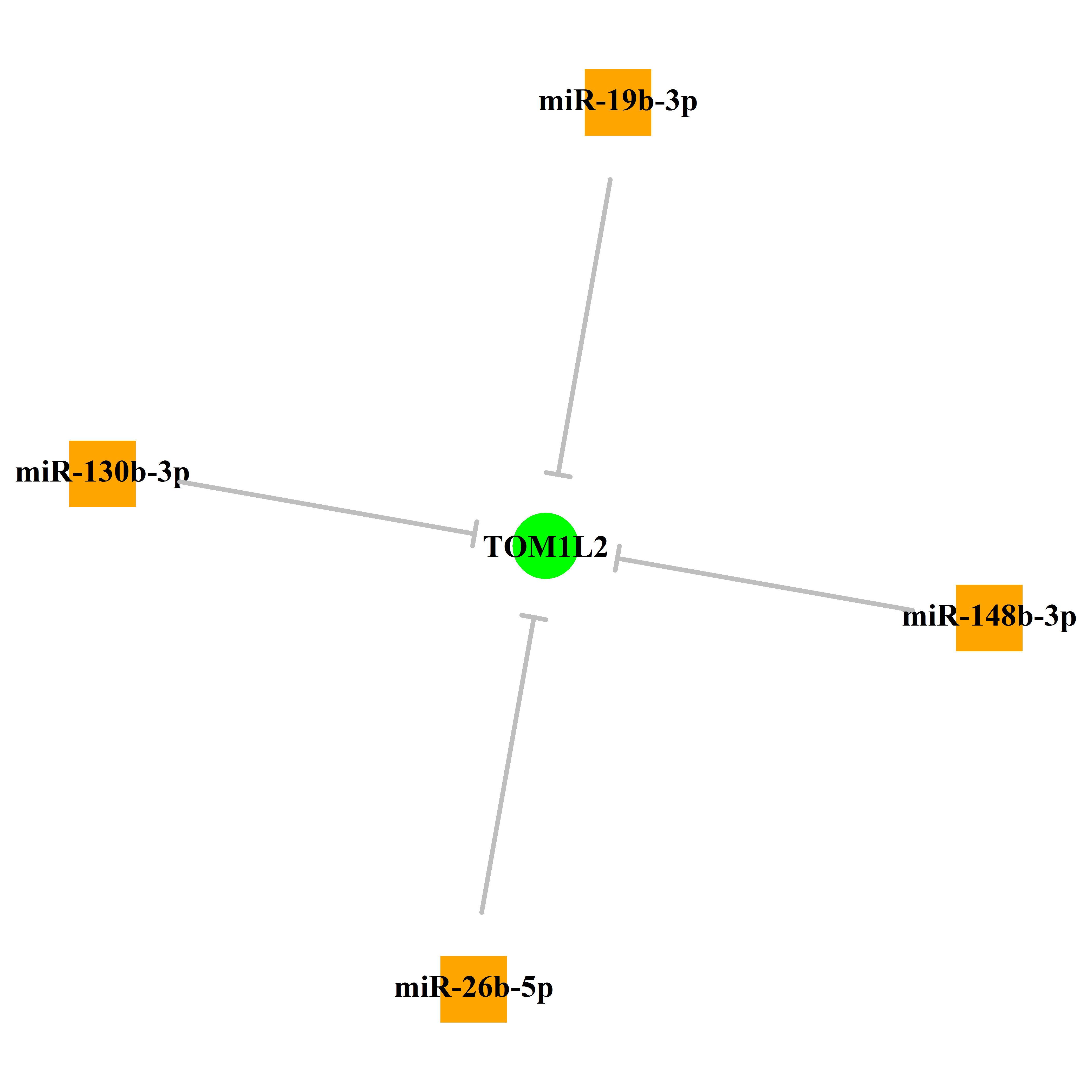 Experimentally validated miRNA-TS gene regulation information.