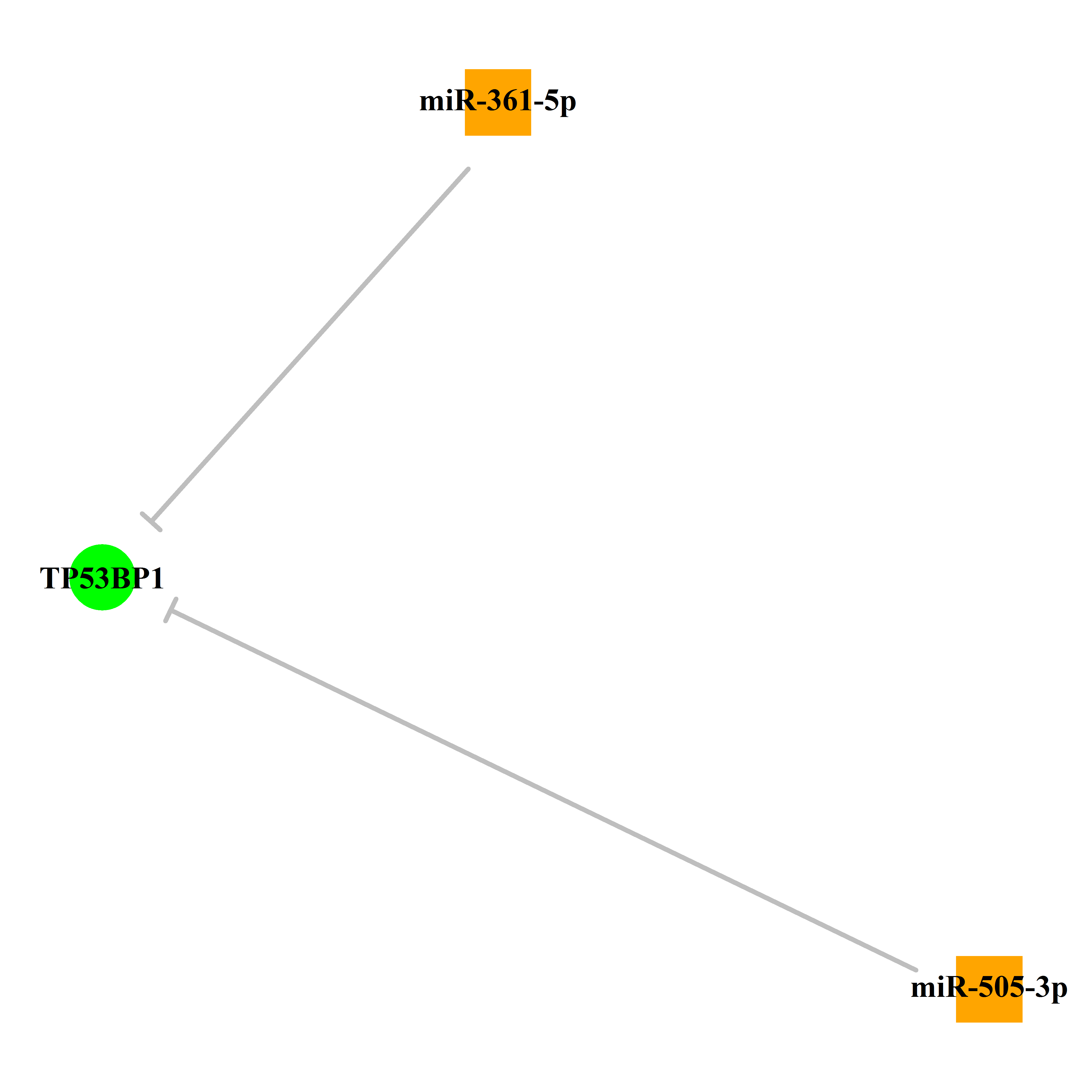 Experimentally validated miRNA-TS gene regulation information.