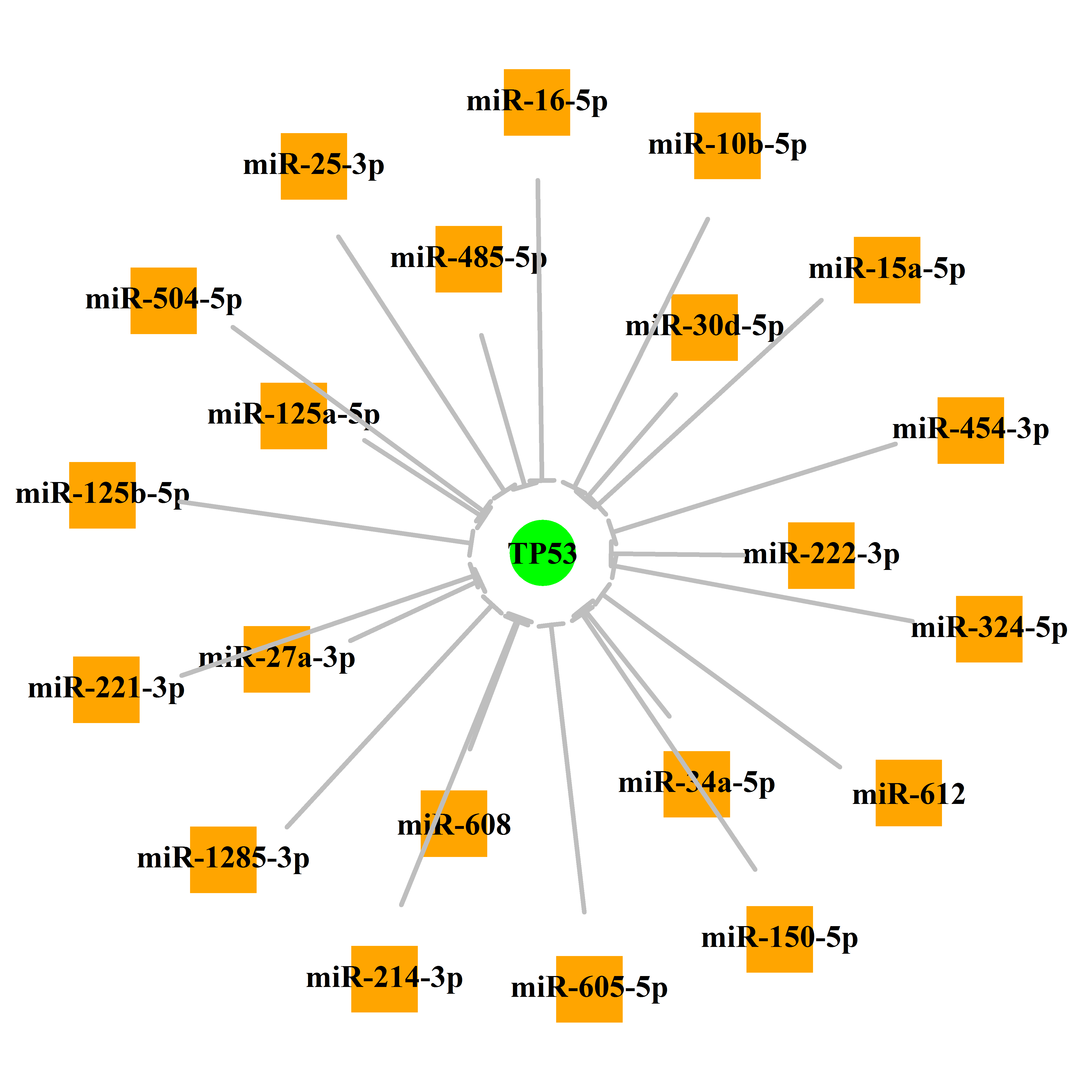 Experimentally validated miRNA-TS gene regulation information.