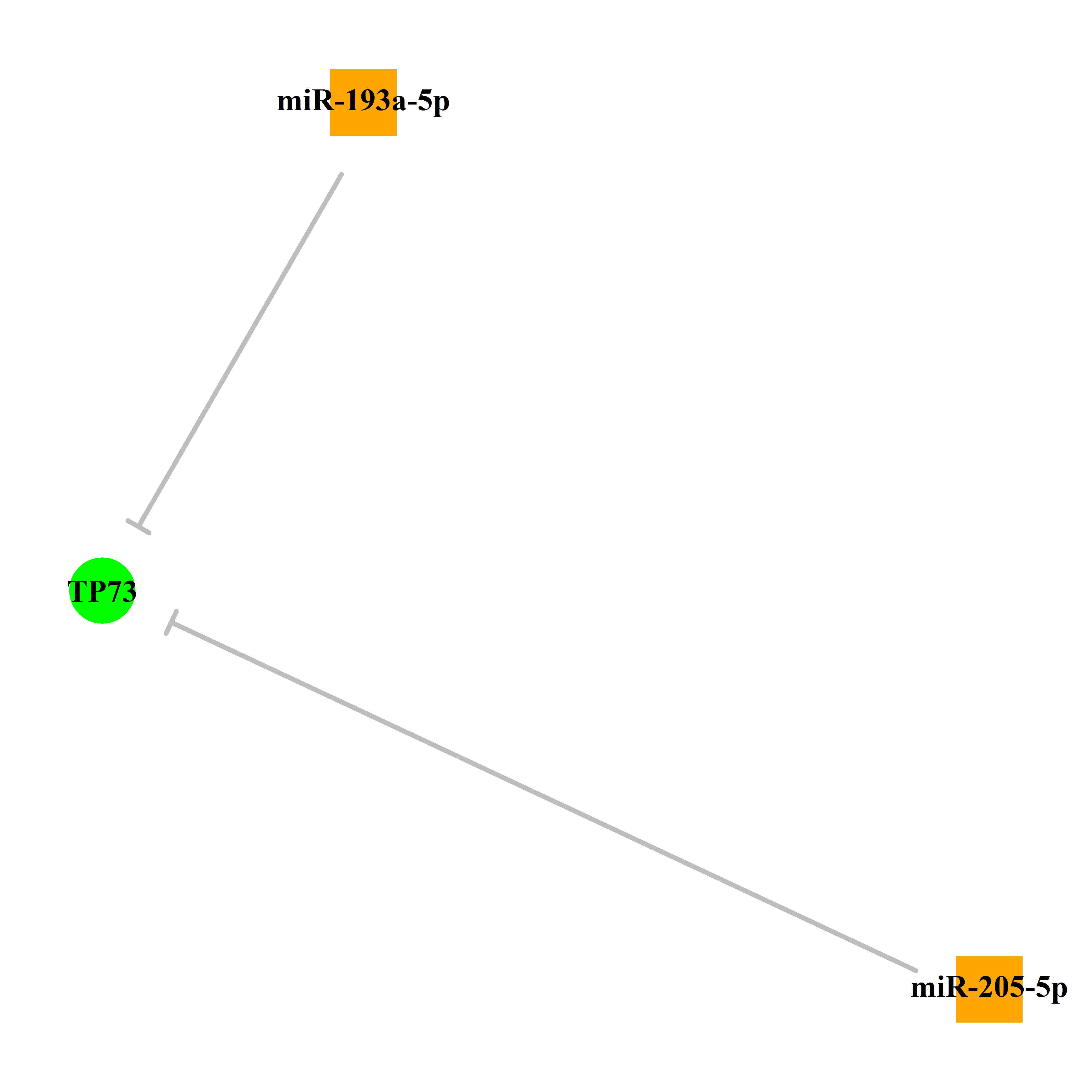 Experimentally validated miRNA-TS gene regulation information.