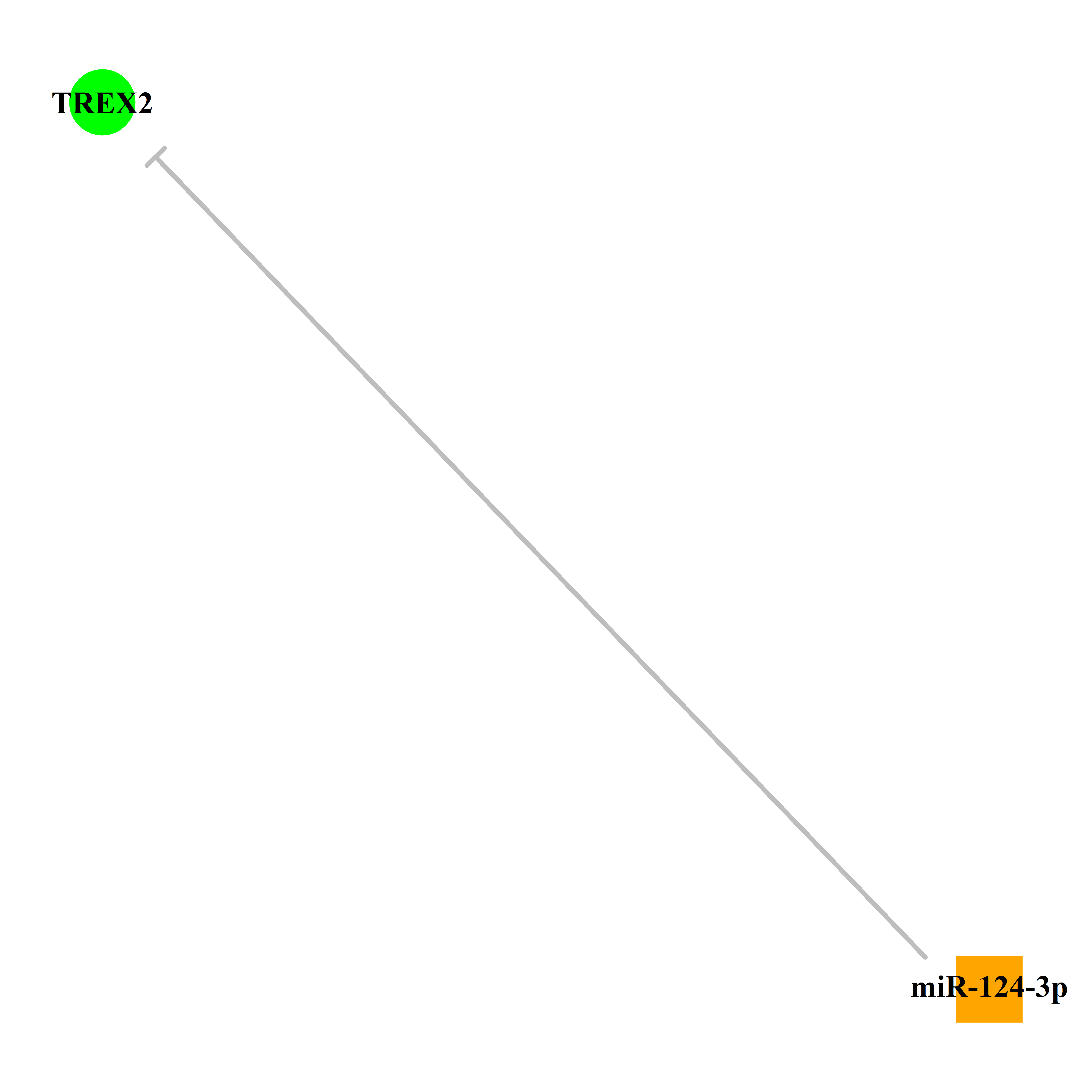 Experimentally validated miRNA-TS gene regulation information.