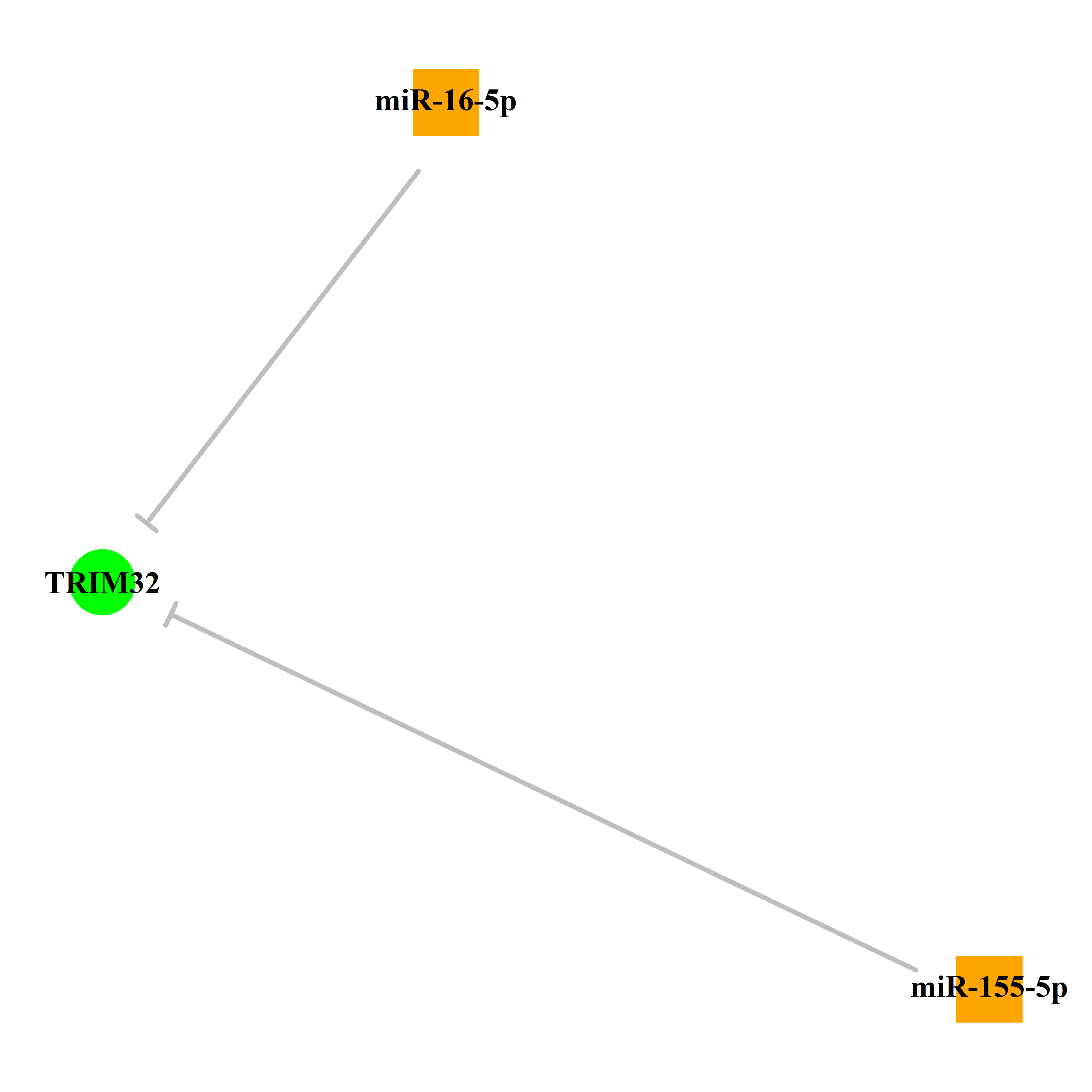 Experimentally validated miRNA-TS gene regulation information.