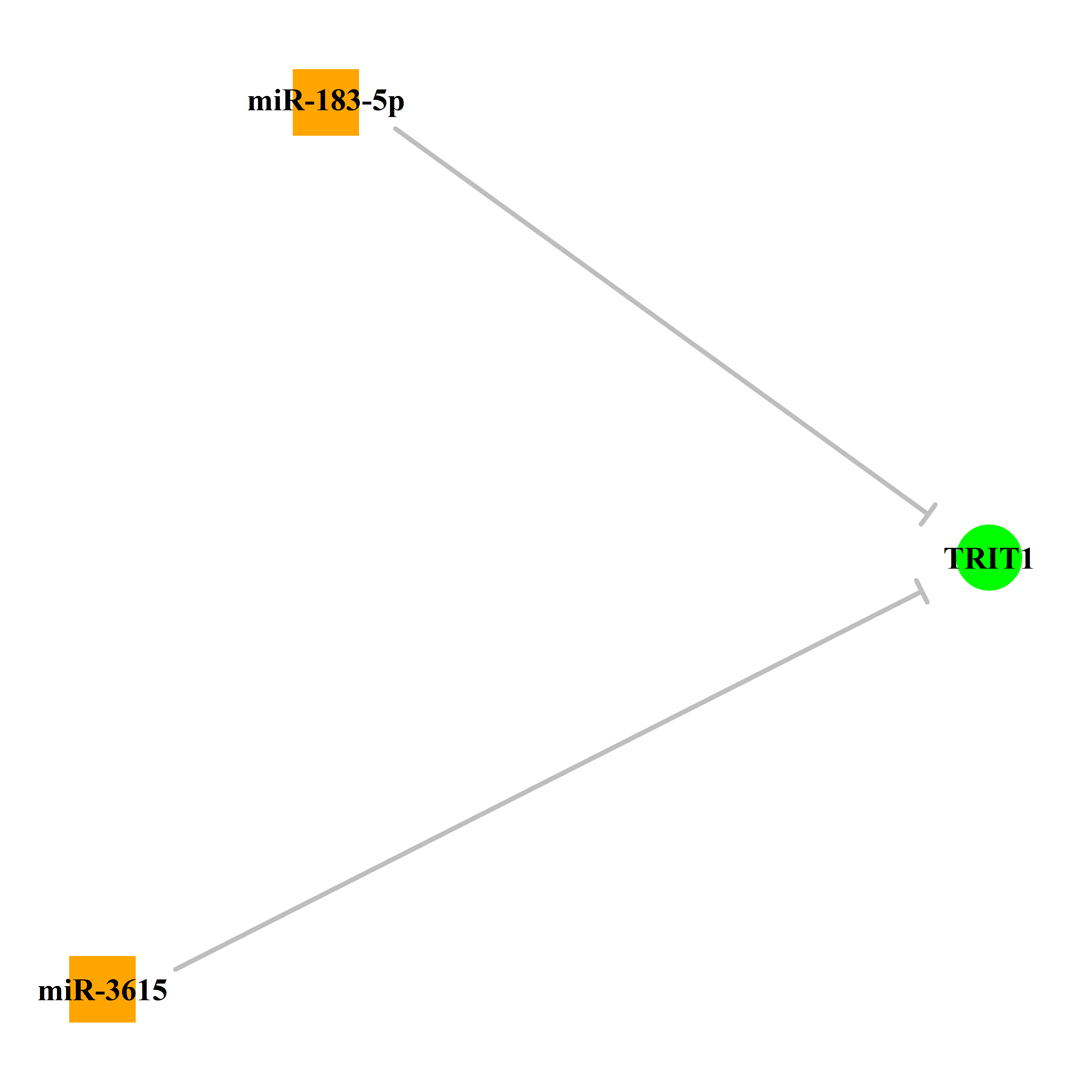 Experimentally validated miRNA-TS gene regulation information.