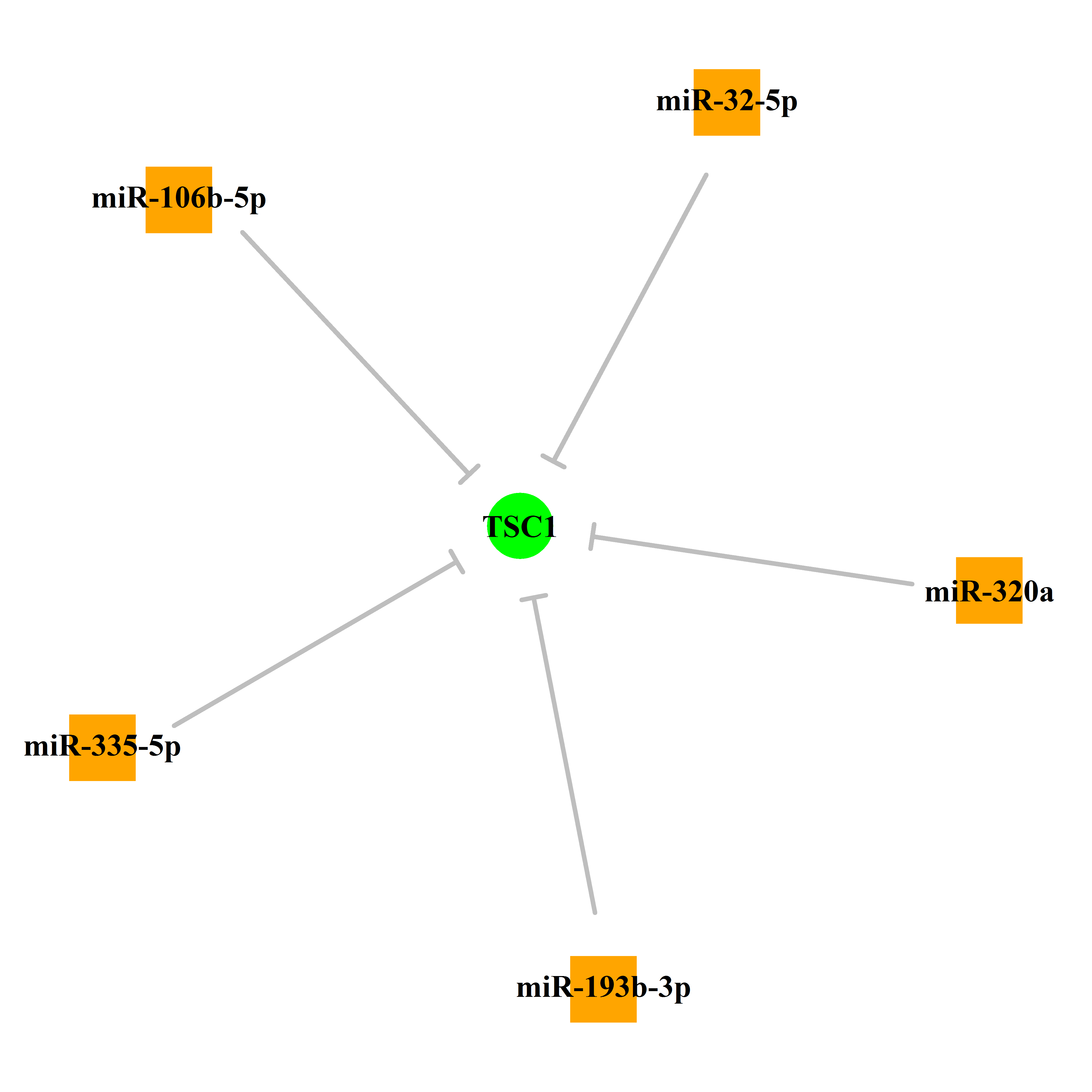 Experimentally validated miRNA-TS gene regulation information.