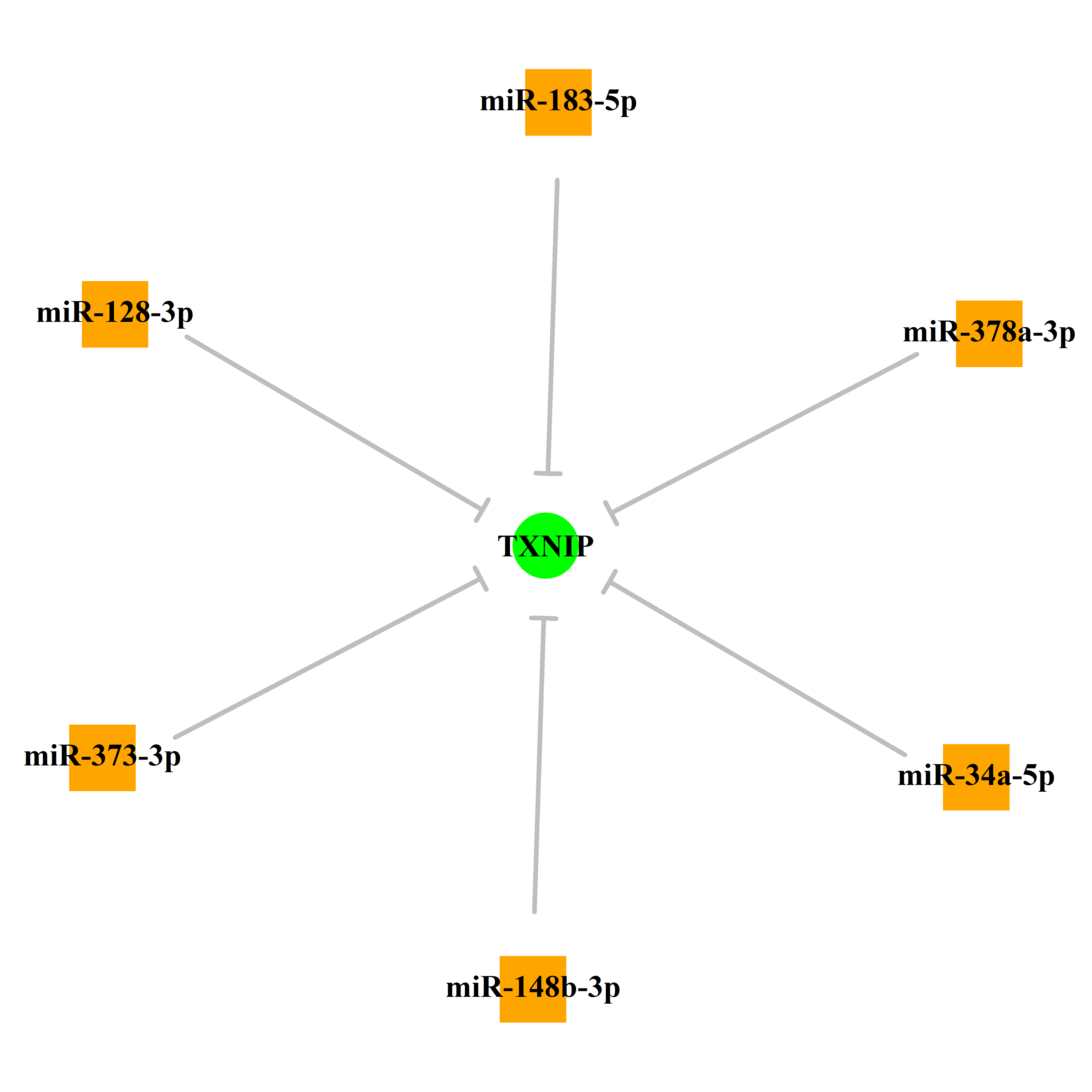 Experimentally validated miRNA-TS gene regulation information.