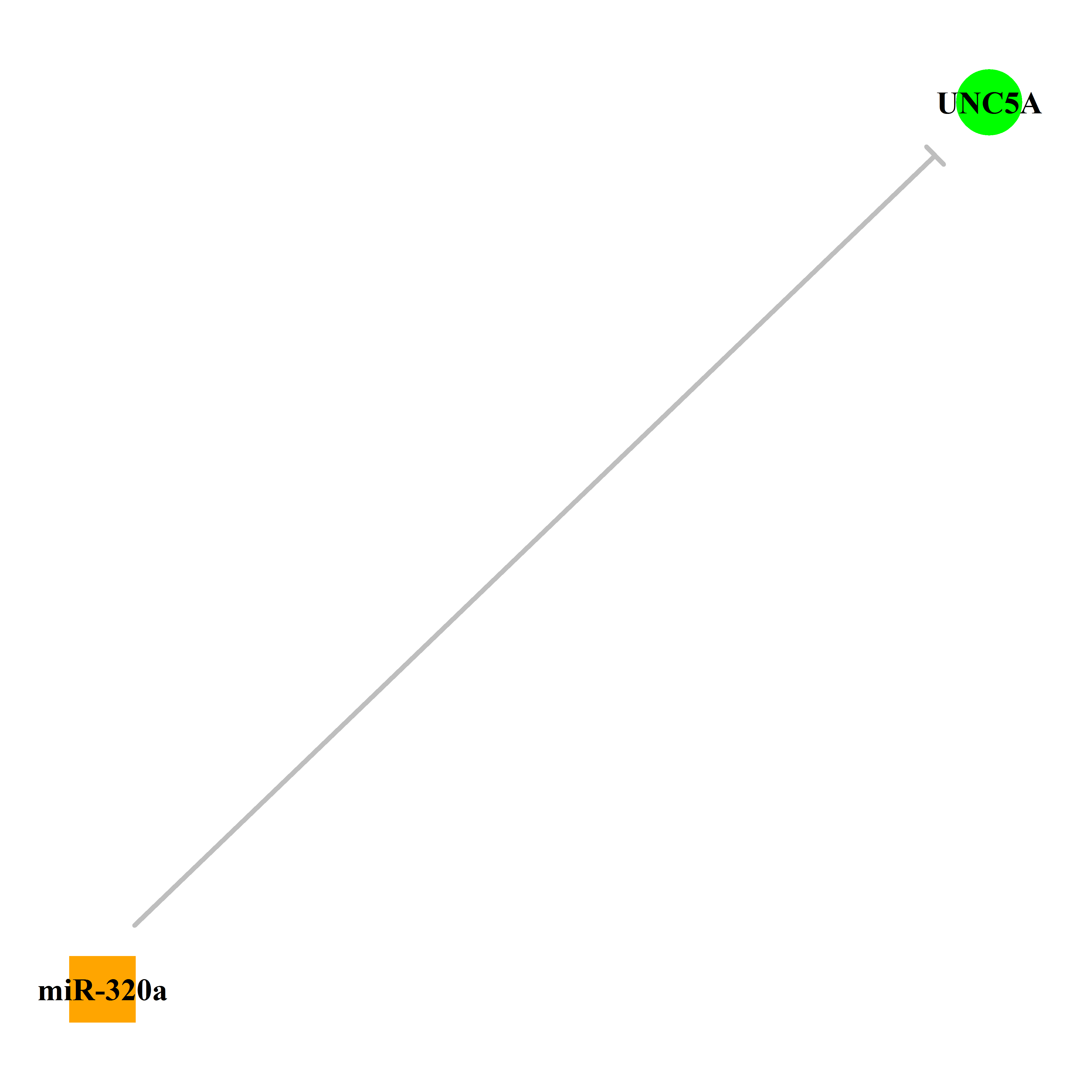 Experimentally validated miRNA-TS gene regulation information.