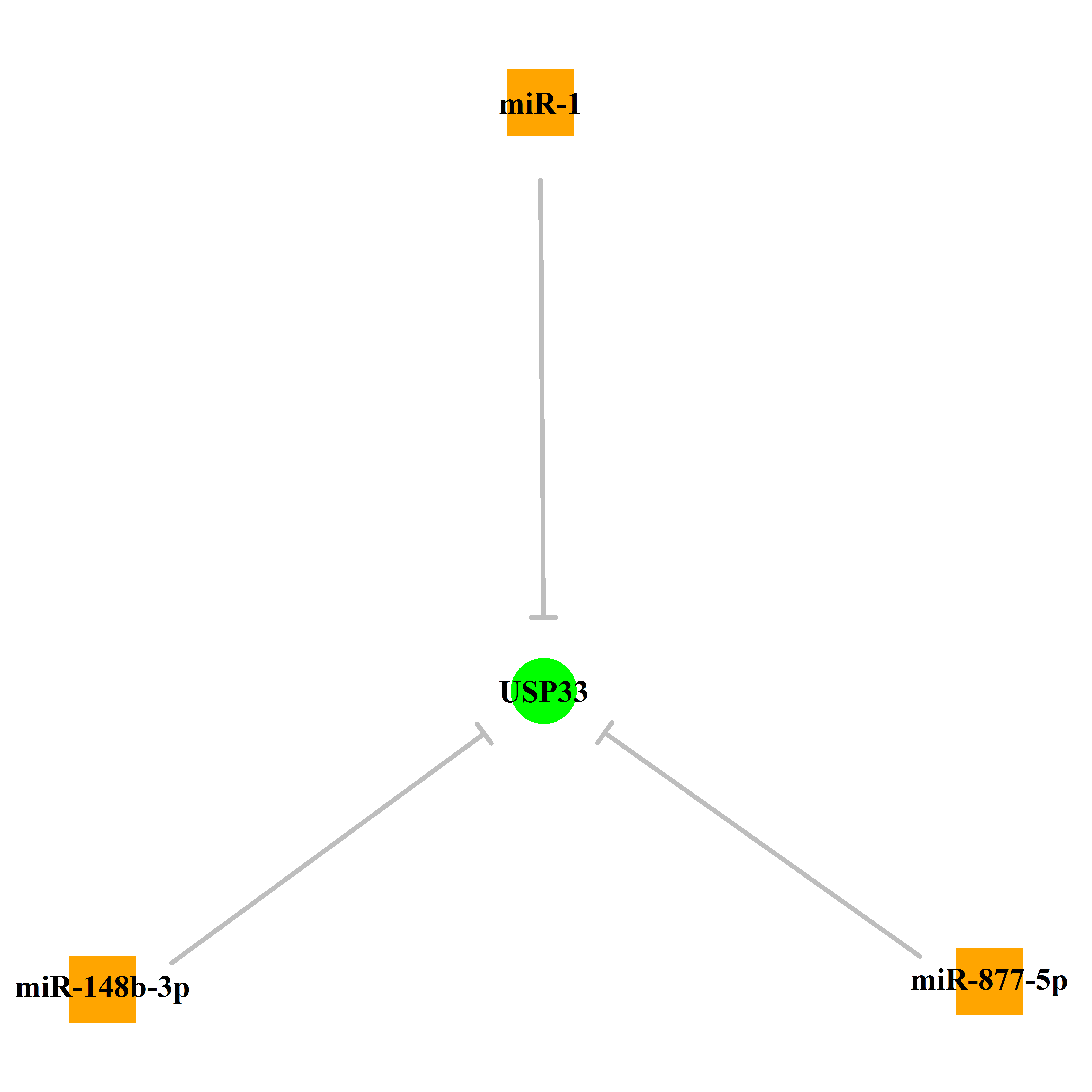 Experimentally validated miRNA-TS gene regulation information.