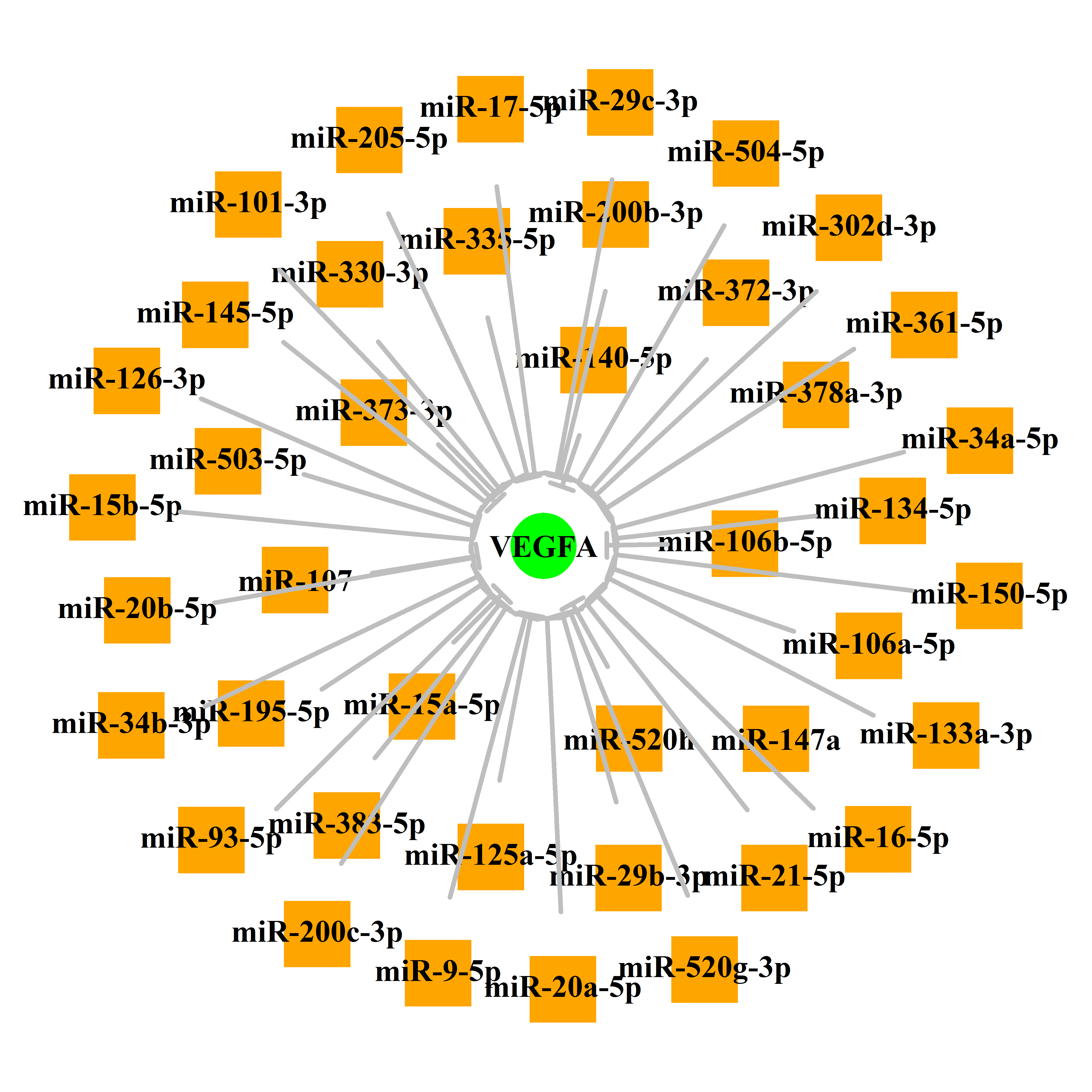 Experimentally validated miRNA-TS gene regulation information.