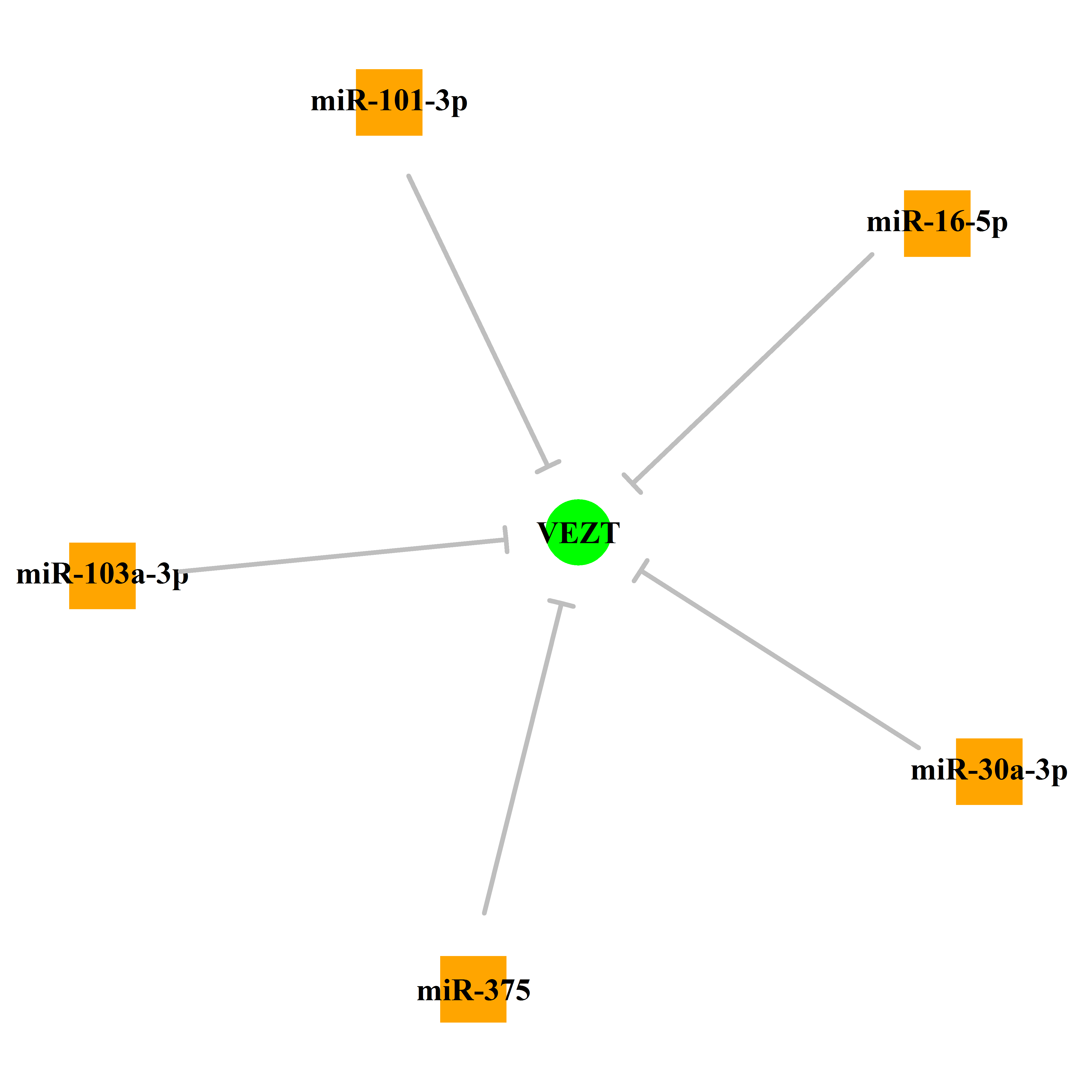 Experimentally validated miRNA-TS gene regulation information.