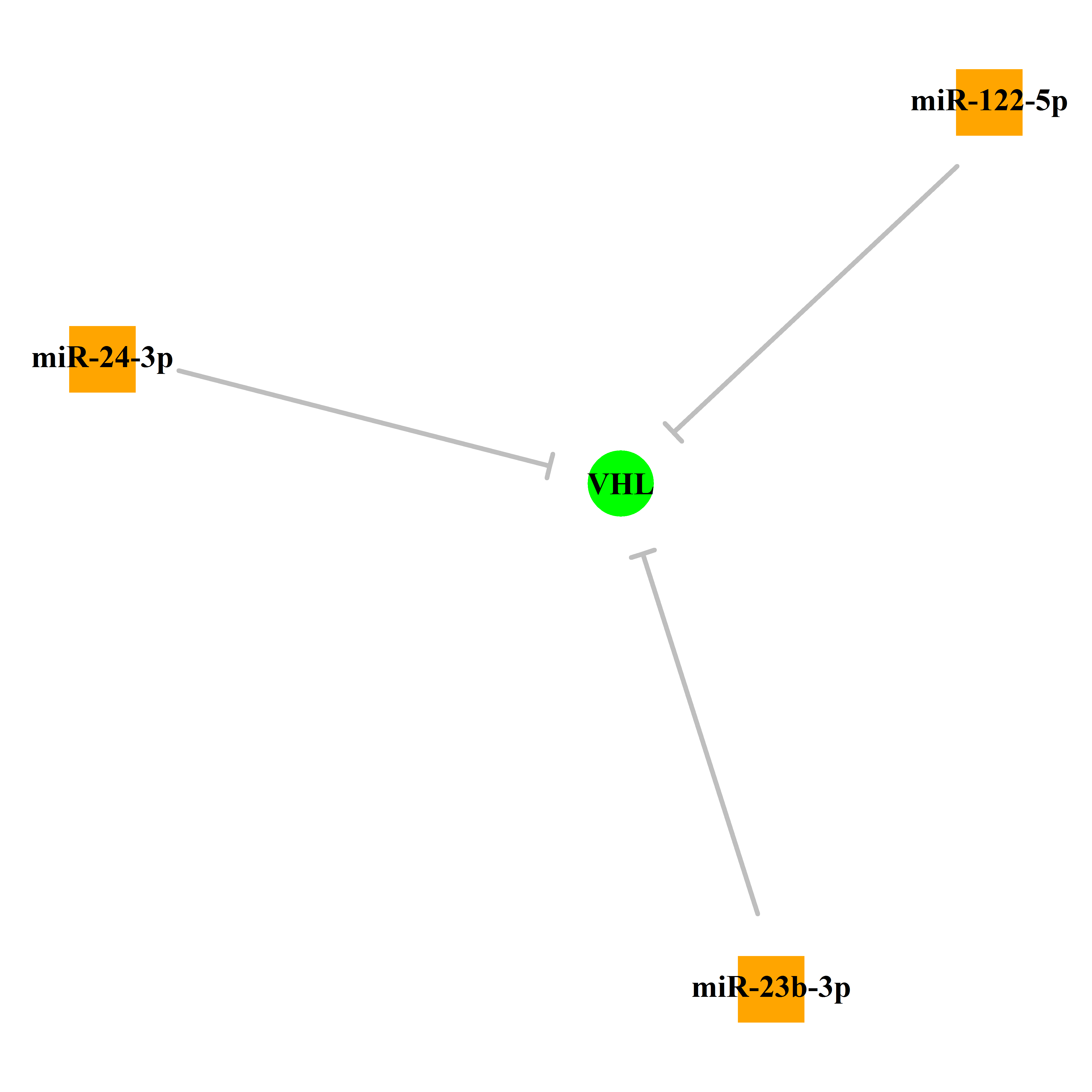 Experimentally validated miRNA-TS gene regulation information.