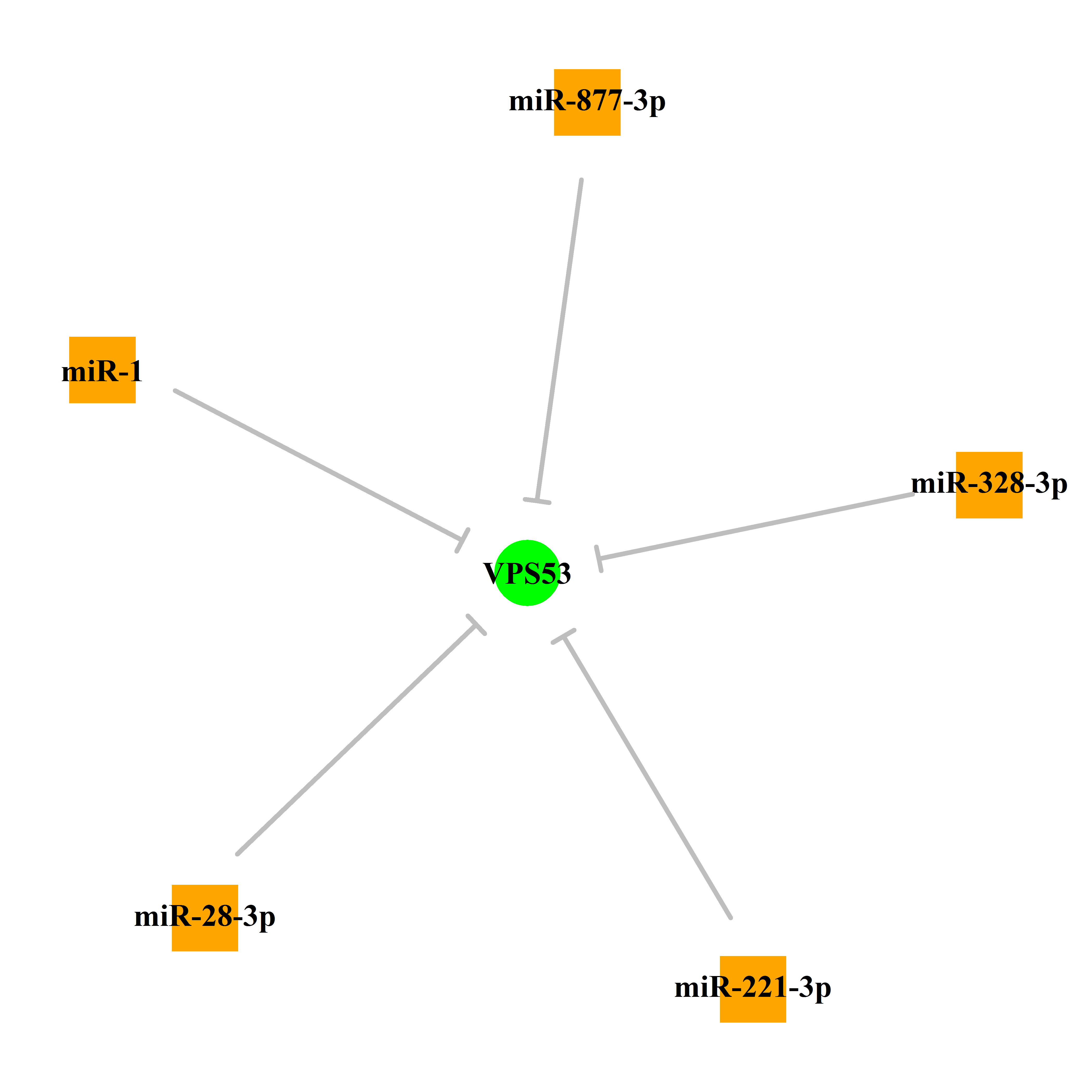 Experimentally validated miRNA-TS gene regulation information.