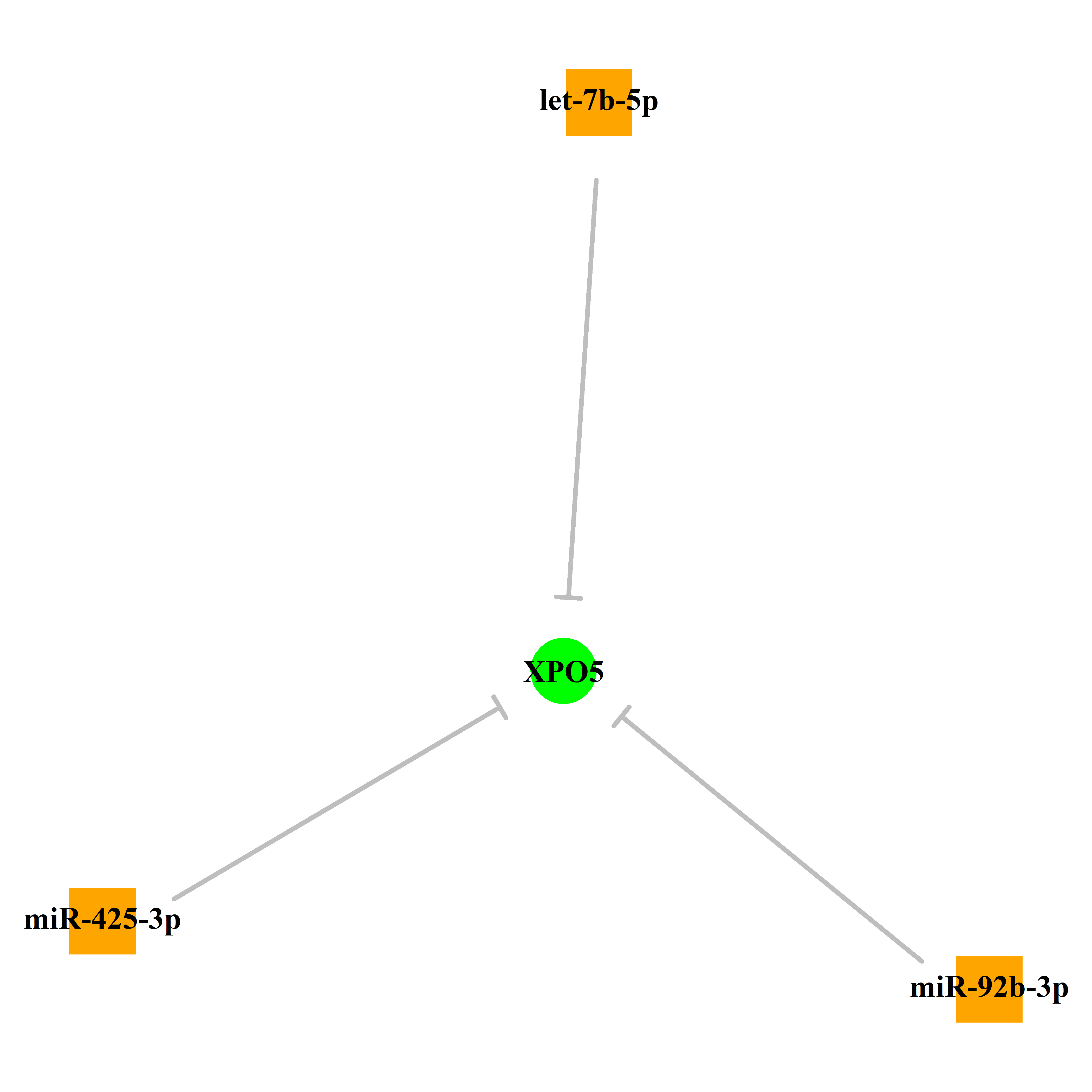 Experimentally validated miRNA-TS gene regulation information.