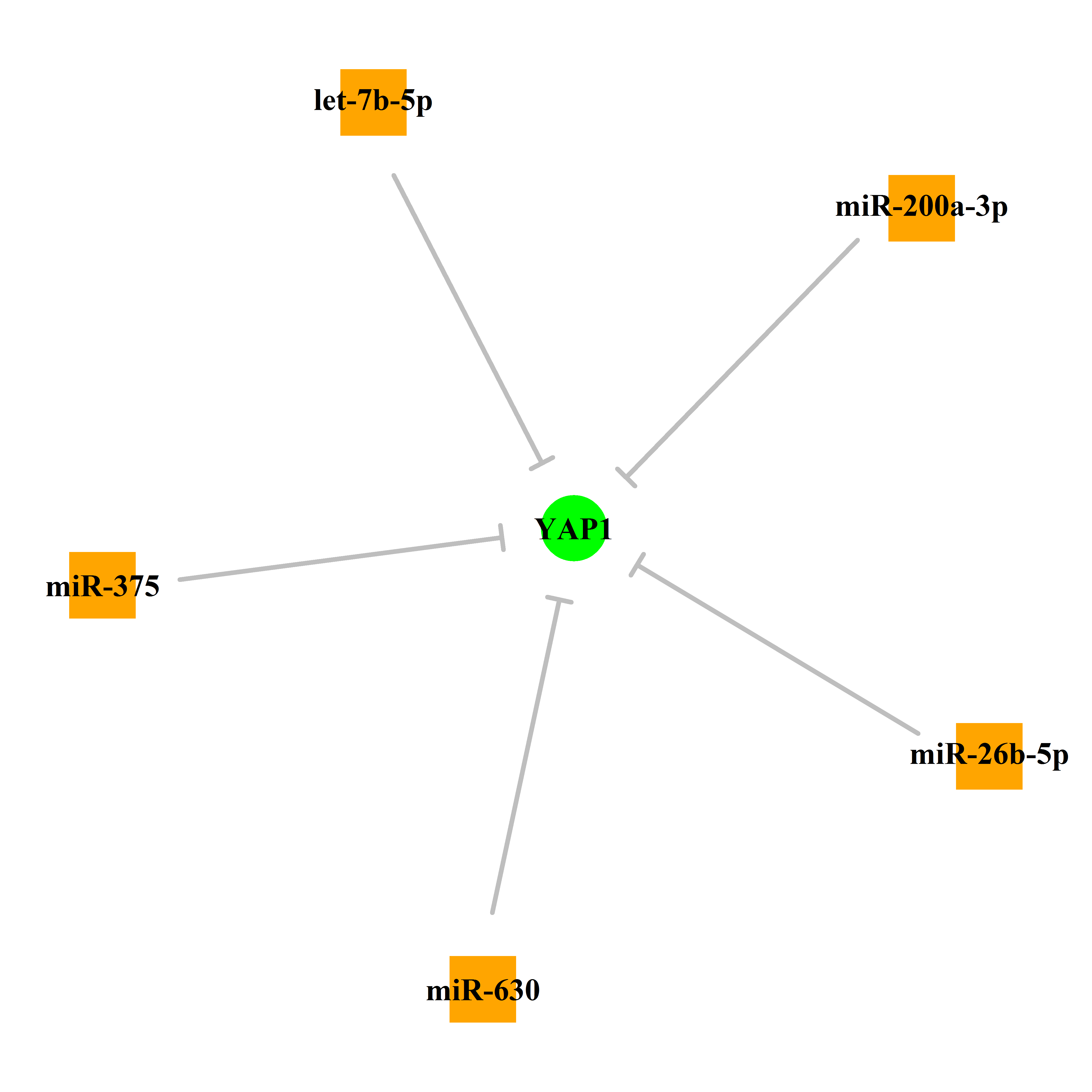 Experimentally validated miRNA-TS gene regulation information.