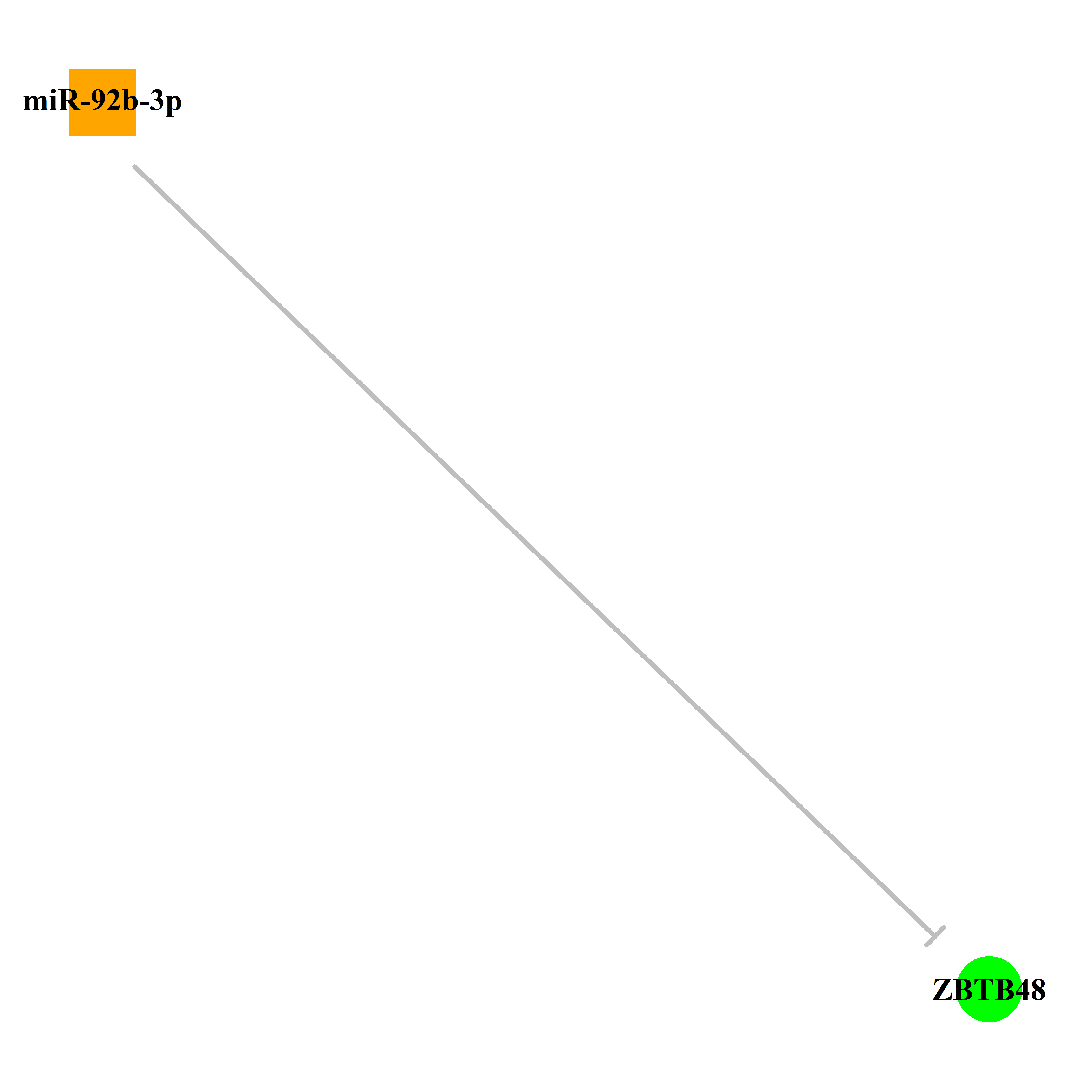 Experimentally validated miRNA-TS gene regulation information.