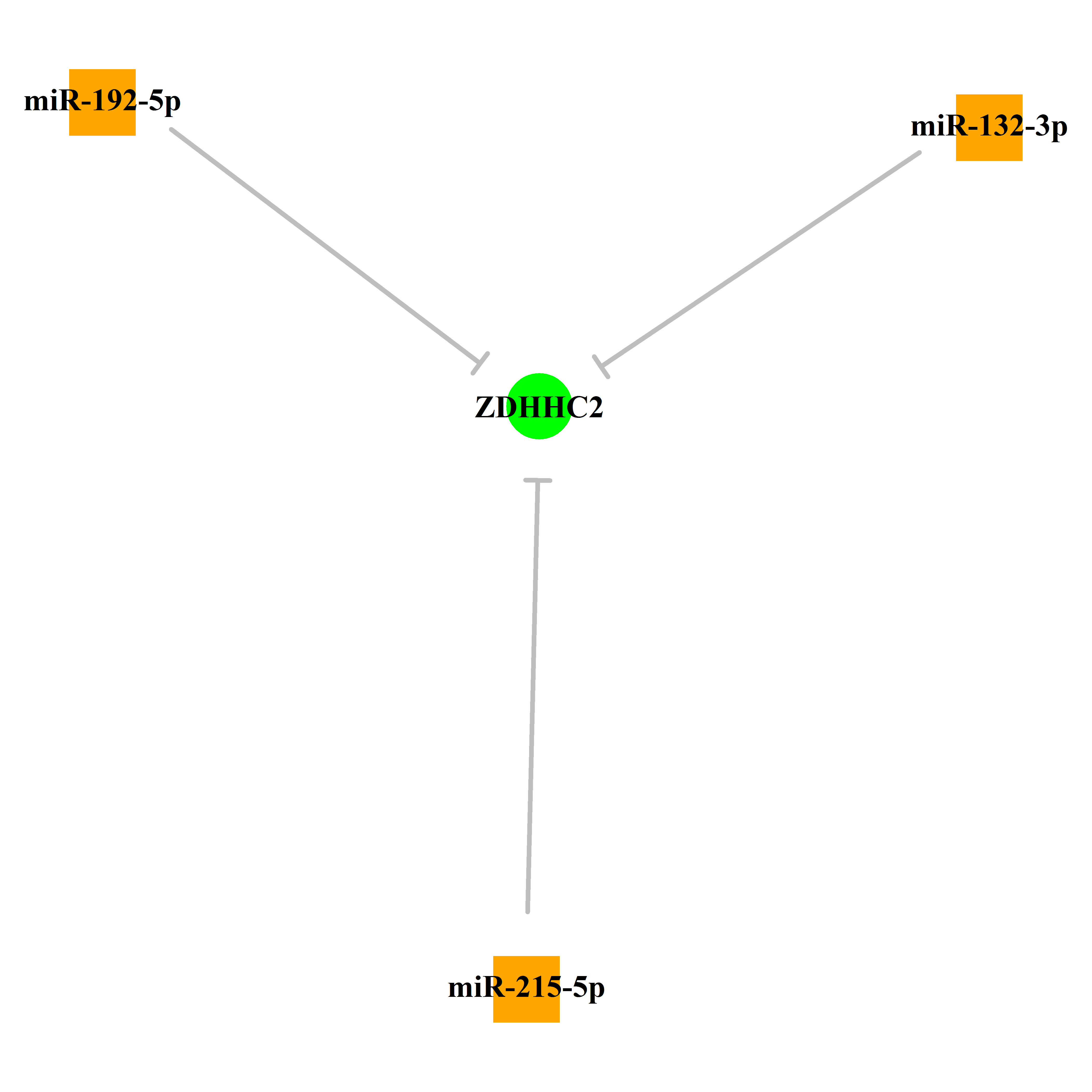 Experimentally validated miRNA-TS gene regulation information.