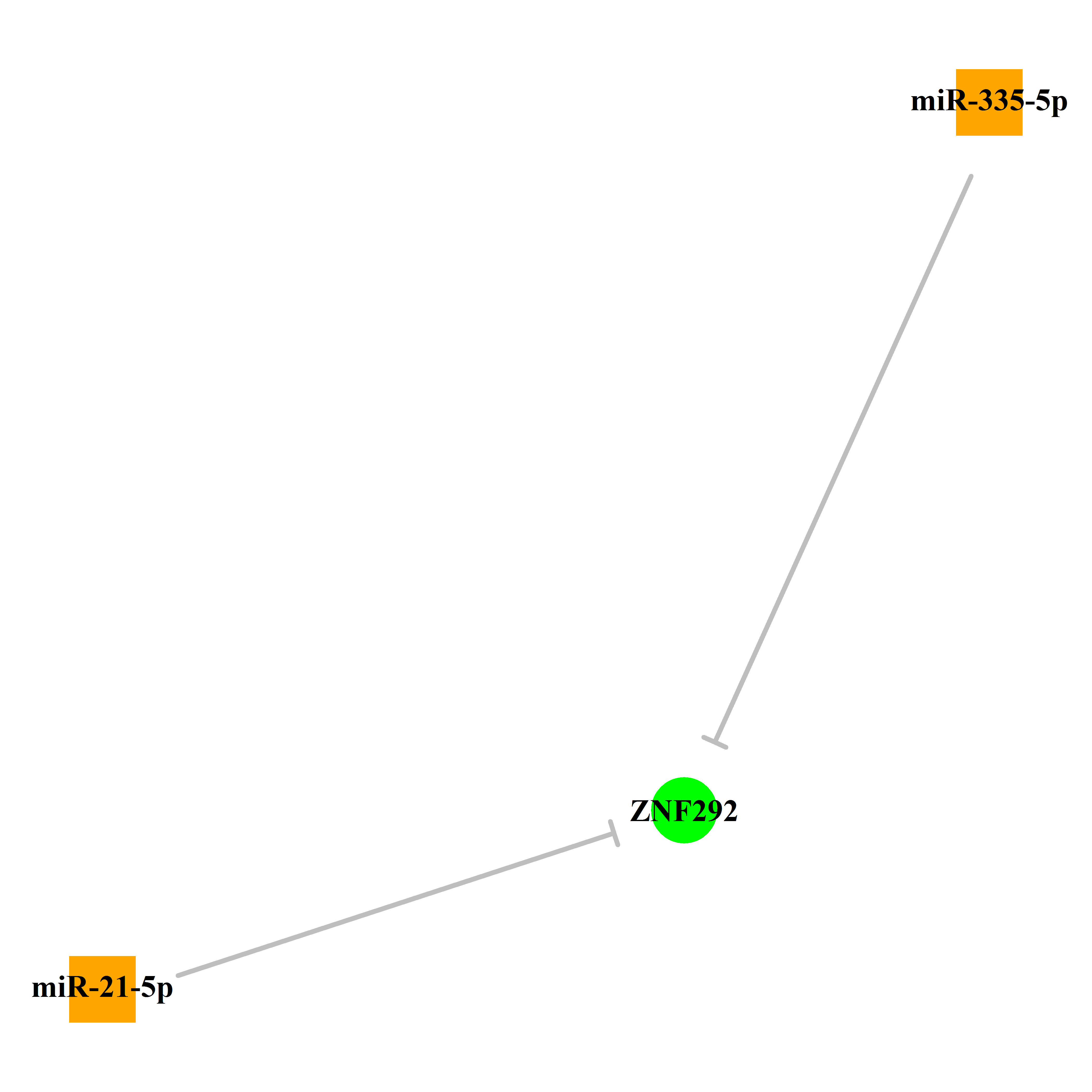 Experimentally validated miRNA-TS gene regulation information.