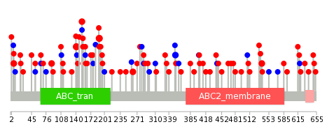 We used uniprot protein structure data from ensemble BioMart database. The size of circle shows the relative mutation number.