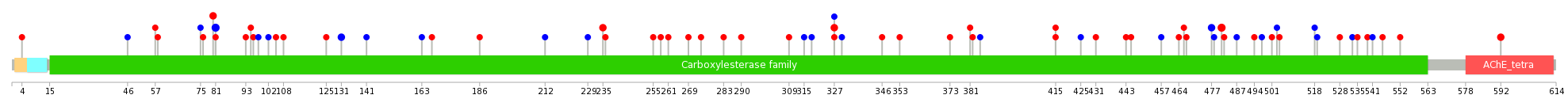 We used uniprot protein structure data from ensemble BioMart database. The size of circle shows the relative mutation number.