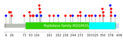 We used uniprot protein structure data from ensemble BioMart database. The size of circle shows the relative mutation number.