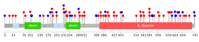 We used uniprot protein structure data from ensemble BioMart database. The size of circle shows the relative mutation number.