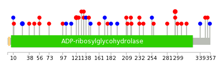 We used uniprot protein structure data from ensemble BioMart database. The size of circle shows the relative mutation number.