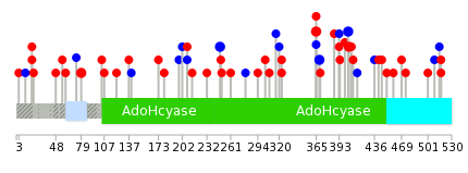 We used uniprot protein structure data from ensemble BioMart database. The size of circle shows the relative mutation number.