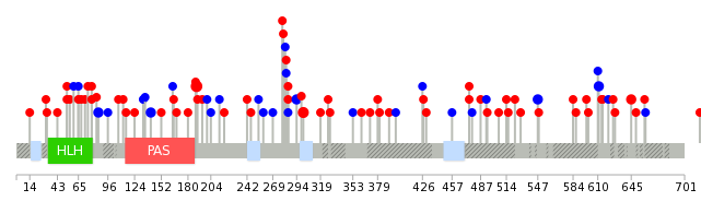 We used uniprot protein structure data from ensemble BioMart database. The size of circle shows the relative mutation number.