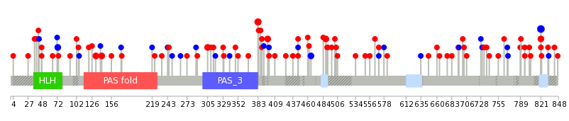 We used uniprot protein structure data from ensemble BioMart database. The size of circle shows the relative mutation number.