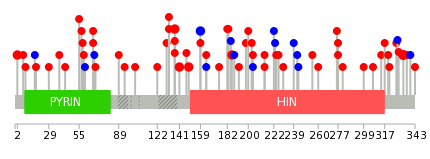 We used uniprot protein structure data from ensemble BioMart database. The size of circle shows the relative mutation number.