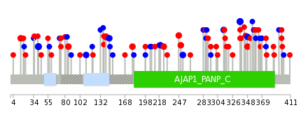 We used uniprot protein structure data from ensemble BioMart database. The size of circle shows the relative mutation number.