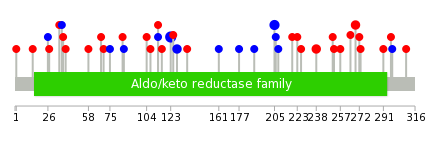 We used uniprot protein structure data from ensemble BioMart database. The size of circle shows the relative mutation number.