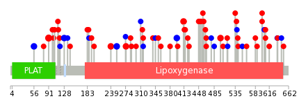 We used uniprot protein structure data from ensemble BioMart database. The size of circle shows the relative mutation number.