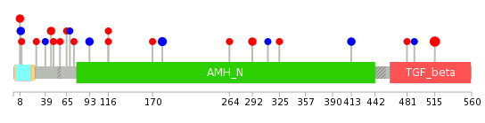 We used uniprot protein structure data from ensemble BioMart database. The size of circle shows the relative mutation number.