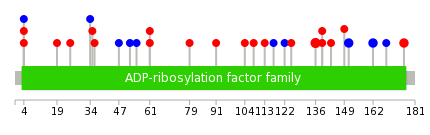 We used uniprot protein structure data from ensemble BioMart database. The size of circle shows the relative mutation number.