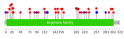 We used uniprot protein structure data from ensemble BioMart database. The size of circle shows the relative mutation number.