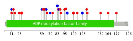 We used uniprot protein structure data from ensemble BioMart database. The size of circle shows the relative mutation number.