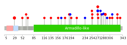 We used uniprot protein structure data from ensemble BioMart database. The size of circle shows the relative mutation number.