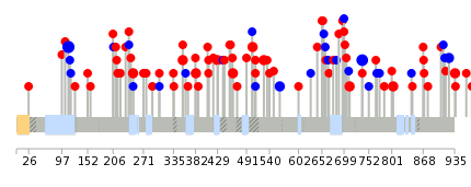 We used uniprot protein structure data from ensemble BioMart database. The size of circle shows the relative mutation number.