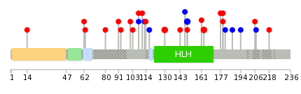 We used uniprot protein structure data from ensemble BioMart database. The size of circle shows the relative mutation number.