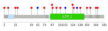 We used uniprot protein structure data from ensemble BioMart database. The size of circle shows the relative mutation number.