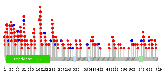 We used uniprot protein structure data from ensemble BioMart database. The size of circle shows the relative mutation number.