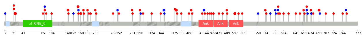 We used uniprot protein structure data from ensemble BioMart database. The size of circle shows the relative mutation number.