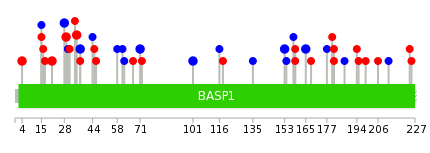 We used uniprot protein structure data from ensemble BioMart database. The size of circle shows the relative mutation number.