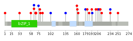 We used uniprot protein structure data from ensemble BioMart database. The size of circle shows the relative mutation number.