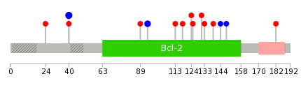 We used uniprot protein structure data from ensemble BioMart database. The size of circle shows the relative mutation number.