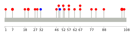 We used uniprot protein structure data from ensemble BioMart database. The size of circle shows the relative mutation number.