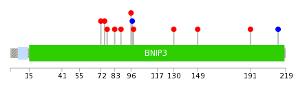 We used uniprot protein structure data from ensemble BioMart database. The size of circle shows the relative mutation number.